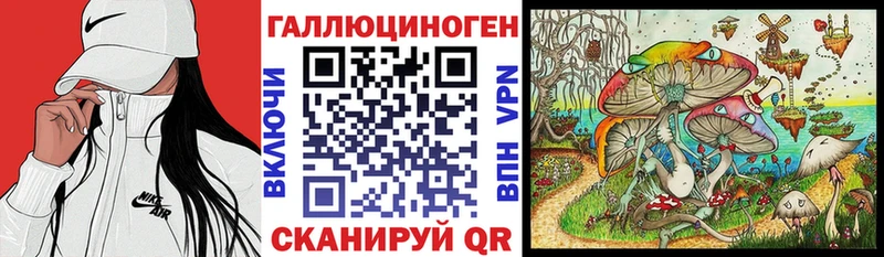 продажа наркотиков Ардатов Галлюциногенные грибы Psilocybine cubensis